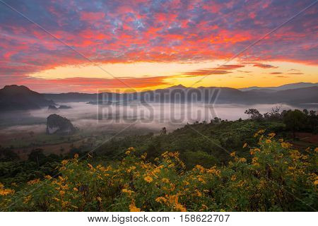 Morning fog on sunrise in the Phulanka, Phayao