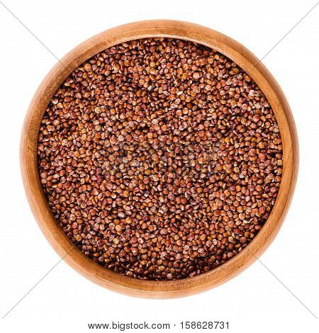 Red quinoa seeds in wooden bowl. Edible fruits of the grain crop Chenopodium quinoa in the Amaranth family is a pseudocereal and used cooked. Isolated macro food photo close up from above on white.