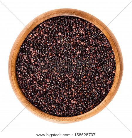 Black quinoa seeds in wooden bowl. Edible fruits of the grain crop Chenopodium quinoa in the Amaranth family is a pseudocereal and used cooked. Isolated macro food photo close up from above on white.