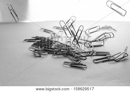 Paperclips scattered on a white background stationery metal office in a different order