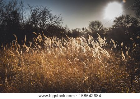 country side sunset on a very cold winter day