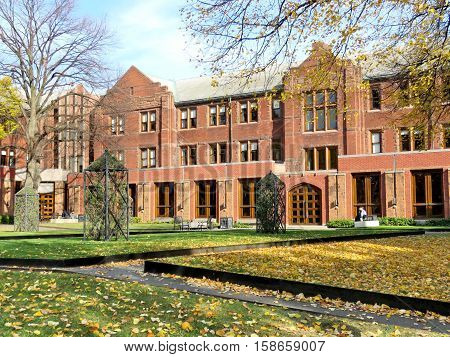 Autumn leaves on a grass in Munk School at the University of Toronto in Toronto Canada November 18 2016