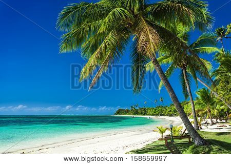 Palm trees on a white sandy beach at Plantation Island, Fiji, South Pacific