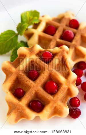 Dessert waffles with cranberries and chocolate syrup
