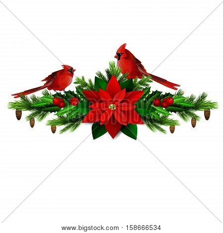 Christmas decoration with evergreen treess holly and pinecone and poinsettia and ribbon isolated cardinal bird