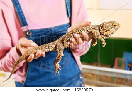 Portrait of beautiful young woman holding agama lizard in pet shop