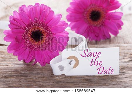 Label With English Text Save The Date. Pink Spring Gerbera Blossom. Vintage, Rutic Or Aged Wooden Background. Card For Spring Greetings.