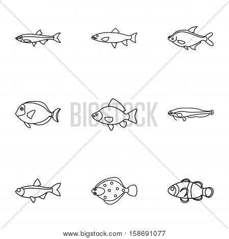 Species of fish icons set. Outline illustration of 9 species of fish vector icons for web