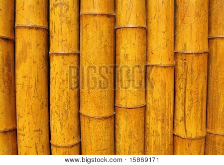 Bambus-Wand
