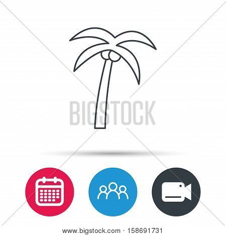 Palm tree with coconuts icon. Travel or vacation symbol. Nature environment sign. Group of people, video cam and calendar icons. Vector