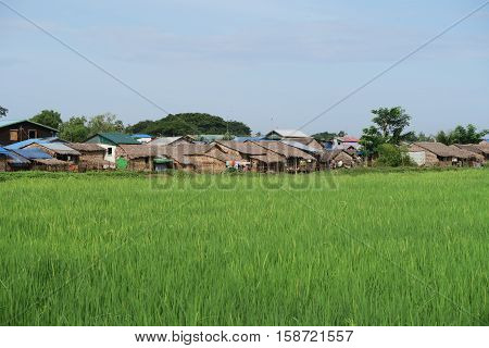 Village near the rice fields in Myanmar