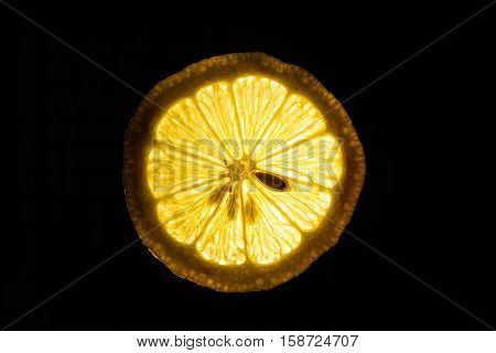 Slice of ripe lemon isolated on a dark background