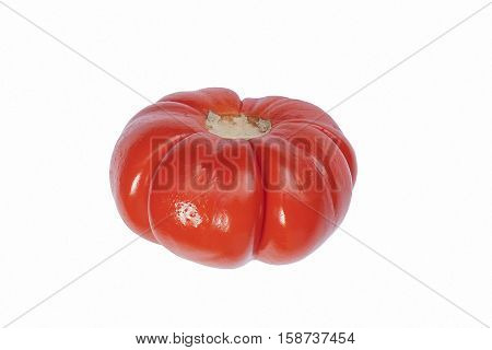 Pumpkin on a stick (Solanum integrifolium). Called Ornamental eggplant also. Image of pumpkin isolated on white background