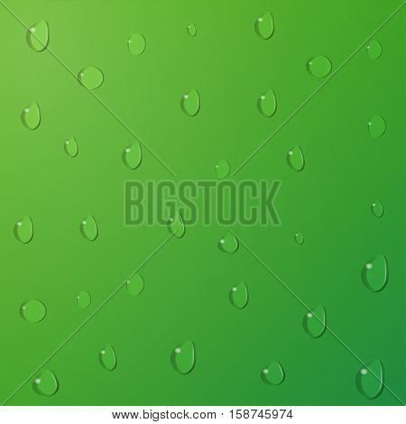 Water drops on green background. Vector illustration.