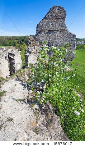 Ruiny starożytnej fortecy