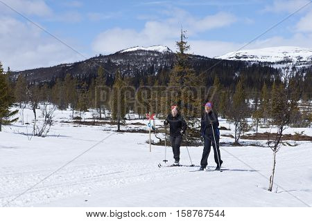 SCANDES, SWEDEN ON APRIL 27. View of two unidentified women cross-country skiing along a trail on April 27, 2013 in the Scandes, Sweden. Track and forest. Editorial use.