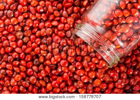 Red sandalwood seeds or Adenanthera pavonina L. in glass. / Used as beads and in percussion instruments.