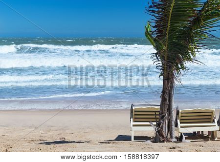 summer beach sun chairs lounger near perfect tropical sea