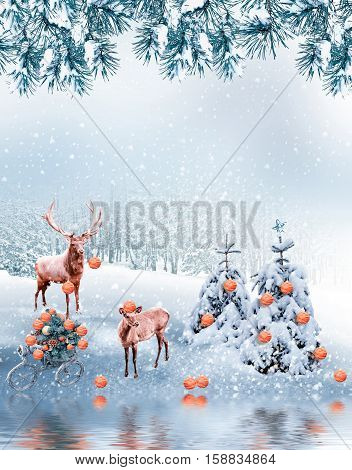 forest in the frost. Winter landscape. Collage of photos of fir trees and deer.
