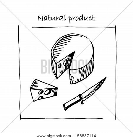 Vector sketch of the cheese. Great for markets, grocery stores, shops, organic food label design. Stock illustration.