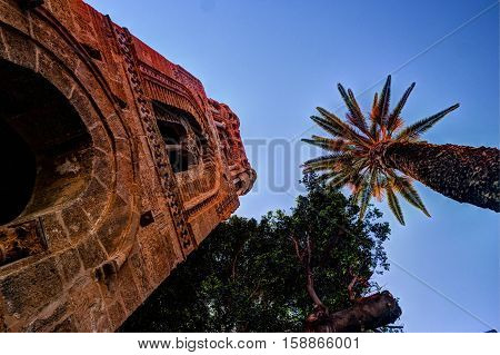 Belltower of church Martorana with palm trees, Palermo. Sicily. Beautiful architecture of the historical district.