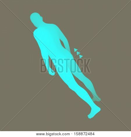 Standing Man. 3D Human Body Model. Design Element. Man Stands on his Feet. Vector Illustration.
