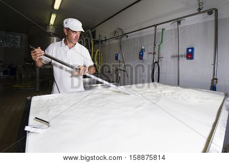 Cheese maker mixing the milk in a large stainless steel tanks