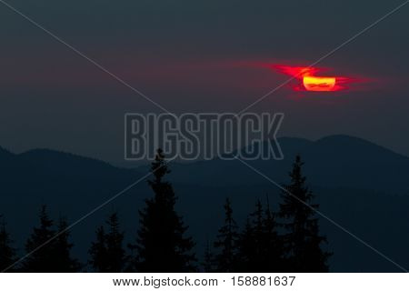 Sunrise in the mountains. Outlines of spruce tops and the sun's rays make their way through the clouds and mountains peaks. Spruce background. Coniferous forest