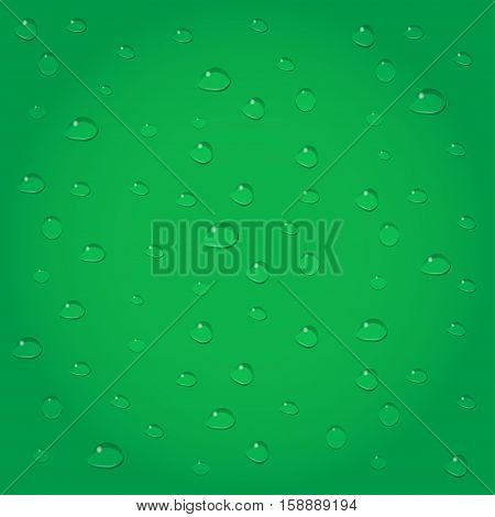 Clear water drops or rain on green background.