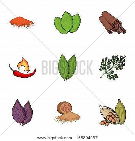 Herb and spices set icons in cartoon style. Big collection of herb and spices vector symbol stock