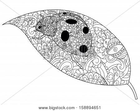 Coccinellidae on a leaf coloring book for adults vector illustration. Anti-stress coloring for adult ladybird. Zentangle style insect. Black and white lines. Lace pattern animal