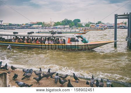 Bangkok, Thailand - January 8, 2016: Boat driver service is popular travel on Chao Phraya River. To stay on Wat Rakhang Pier. Tourists look out the boat window and take photos of birds.