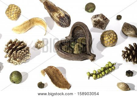 A selection of traditional Christmas potpourri items spread out and photographed against a white background. Decorative seasonal items used as a table centrepiece.