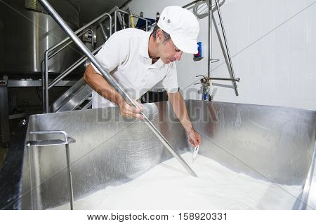 Cheesemaker Measure Temperature