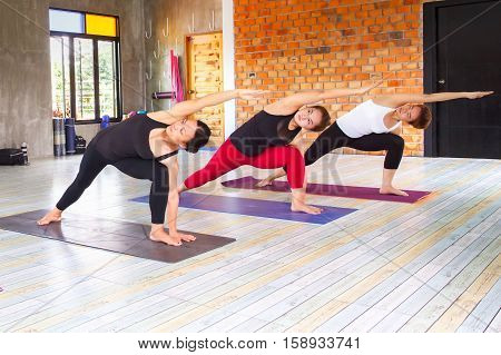 Yoga Class Group of People Relaxing and Doing Yoga. Wellness and Healthy Lifestyle.