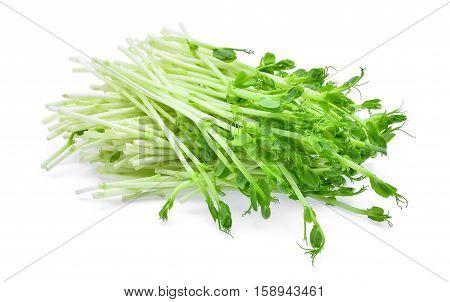 fresh snow pea sprouts isolated on white background