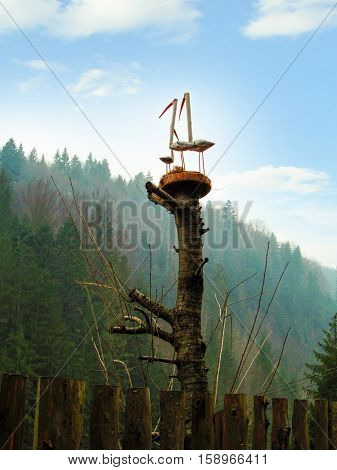 Wooden storks family. Three wooden storks in a nest against the sky