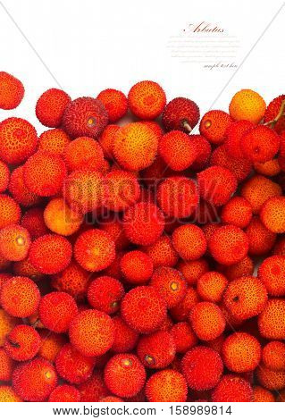 background of red fruits of Arbutus unedo.
