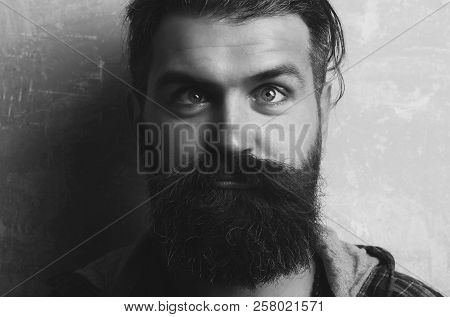 Man Or Or Brutal Caucasian Hipster Squinting Eyes On Silly Face With Long Beard And Moustache On Gre