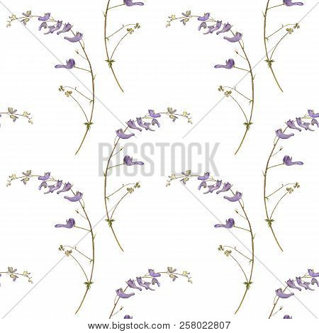 Seamless Pattern With Watercolor Drawing Plants Of Aconite, Painted Botanical Illustration, Hand Dra