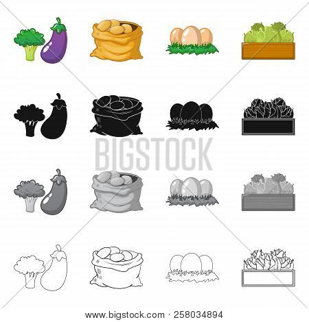 Vector Illustration Of Farm And Agriculture Icon. Set Of Farm And Plant Stock Vector Illustration.