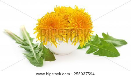 Medicinal Dandelion With Green Leaves Over White Background