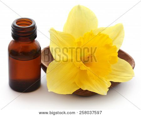 Flower Daffodil With Essential Oil In A Glass Bottle Over White Background