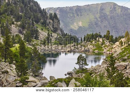 Aigues Tortes National Park Forest Landscape. Gerber Route. Lleida, Spain