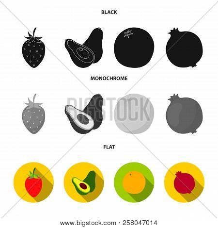 Strawberry, Berry, Avocado, Orange, Pomegranate.fruits Set Collection Icons In Black, Flat, Monochro