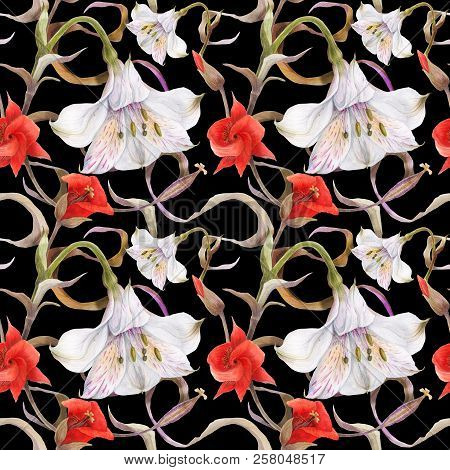 Modern Botanical Watercolor. Floral  Black Seamless Pattern By Alstroemeria And Calochortus, White A