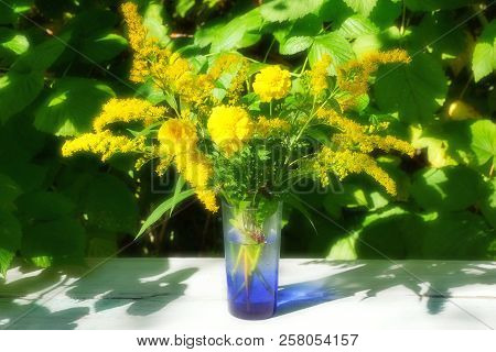 Floral Background.yellow Flowers Marigolds Mimosa On A Green Background Of Raspberry Foliage. Still 