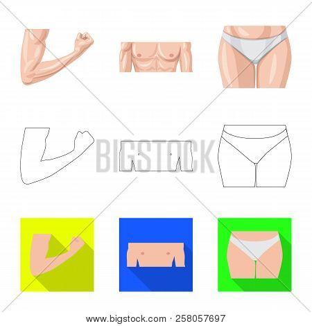 Vector Design Of Human And Part Sign. Set Of Human And Woman Vector Icon For Stock.