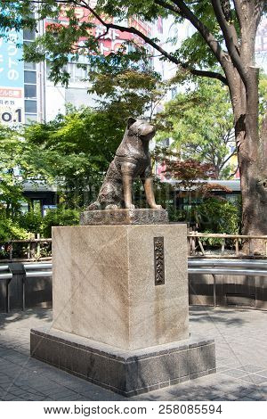Tokyo, Japan - April 29, 2017 : Hachiko Dog Statue In Front Of Shibuya Station, Tokyo. This Is The L