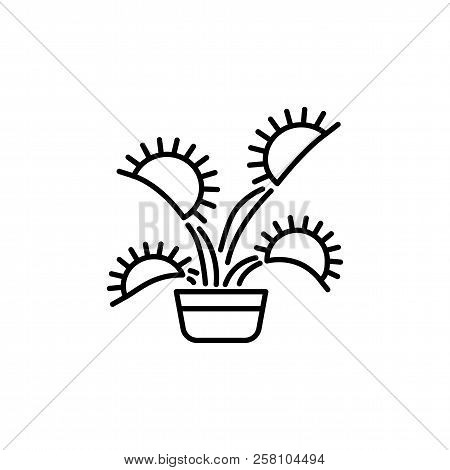 Black & White Vector Illustration Of Insect Eating Plant With Leaves In Pot. Line Icon Of Decorative